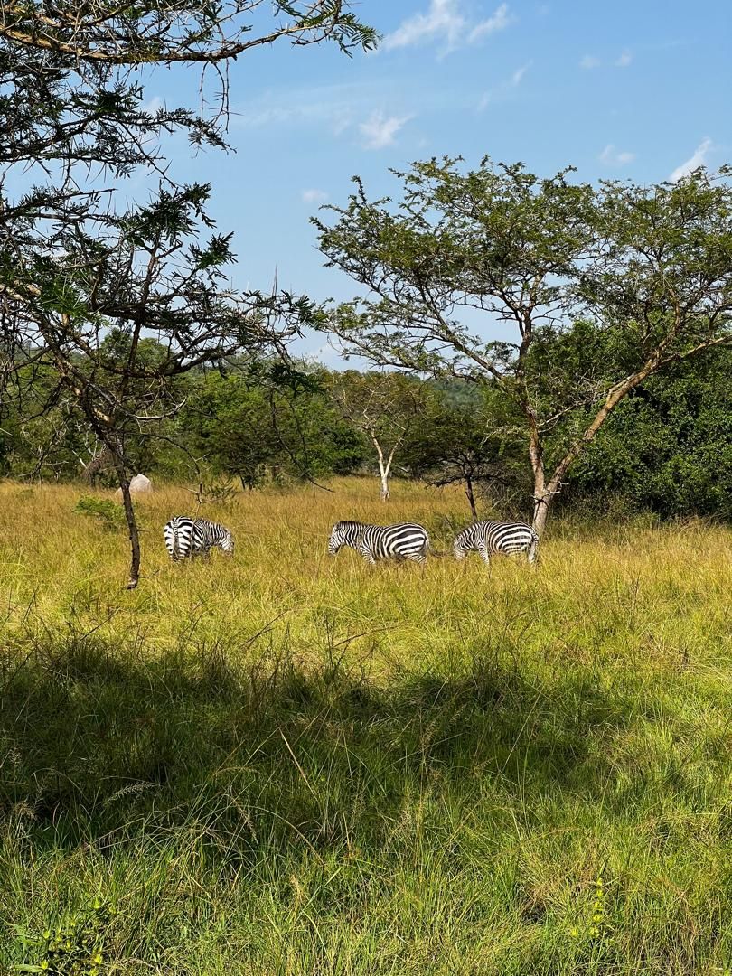 Lake Mburo N.P.